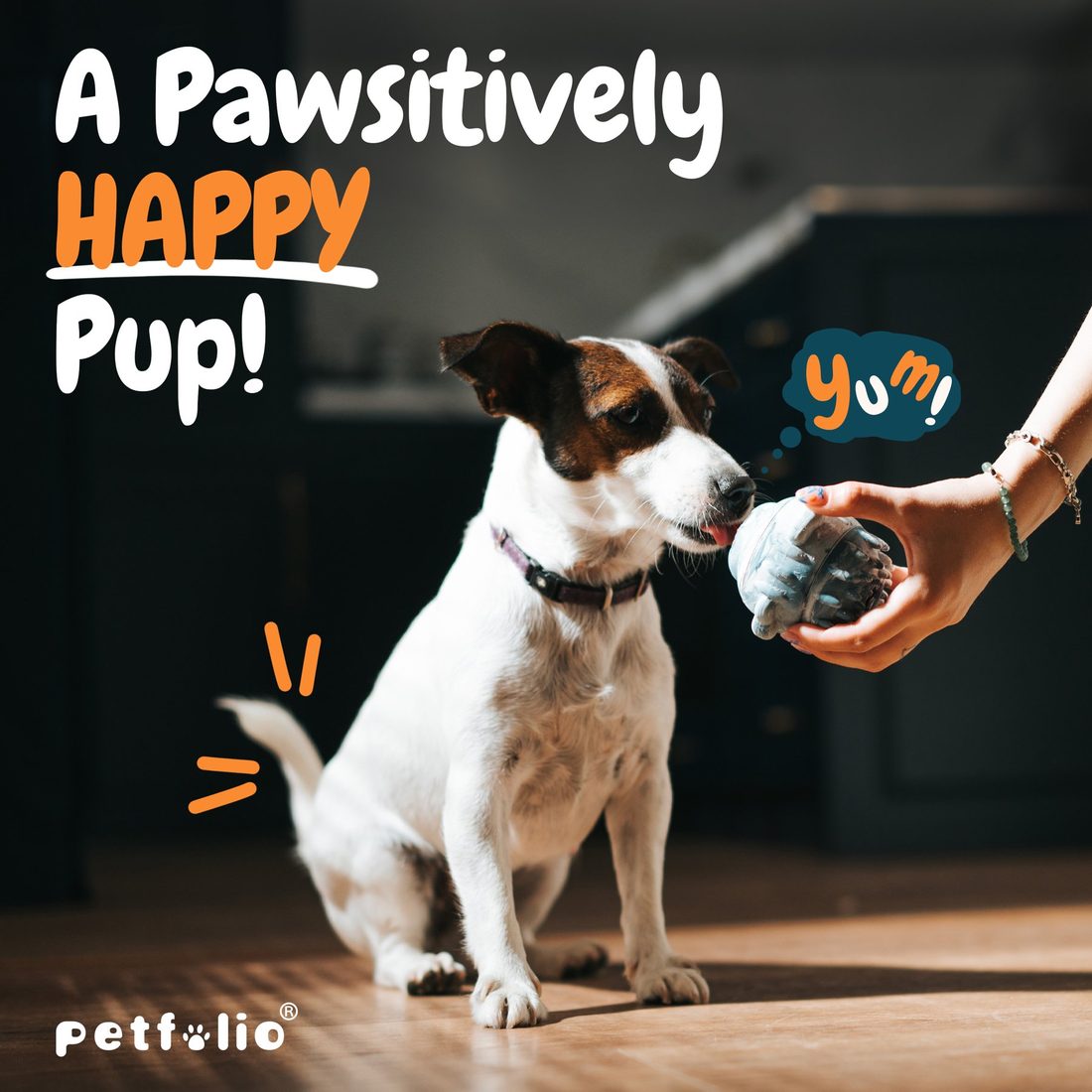Petfolio Dog Enrichment